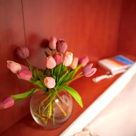 Hvar Adria Apartman *